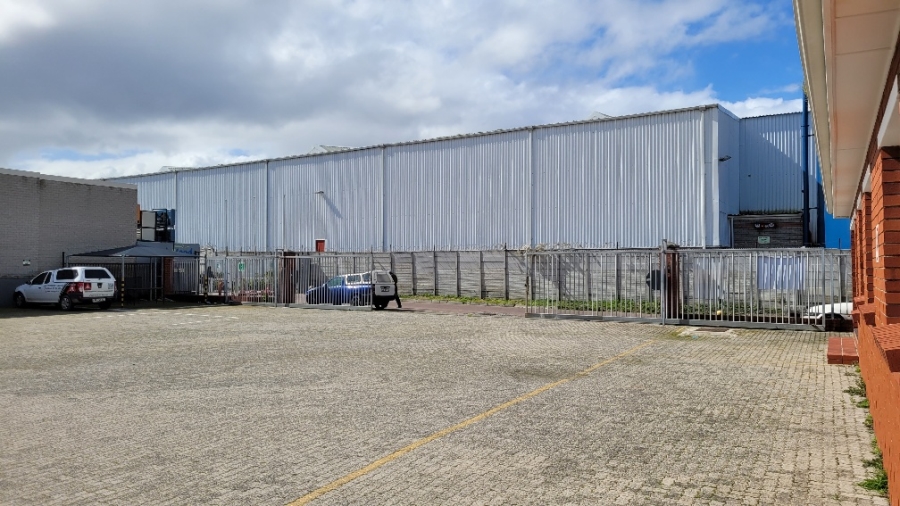 To Let commercial Property for Rent in Airport Industria Western Cape